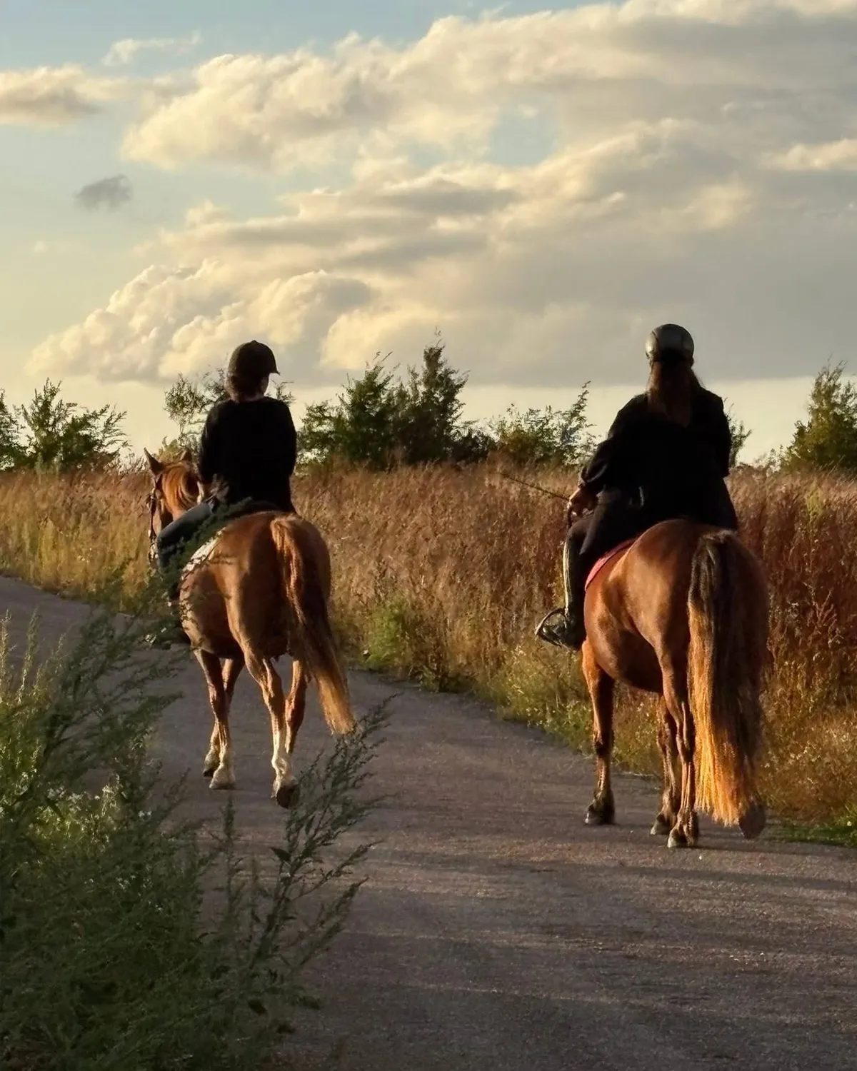 Cours et balades à cheval à La Ferme Enchantée
