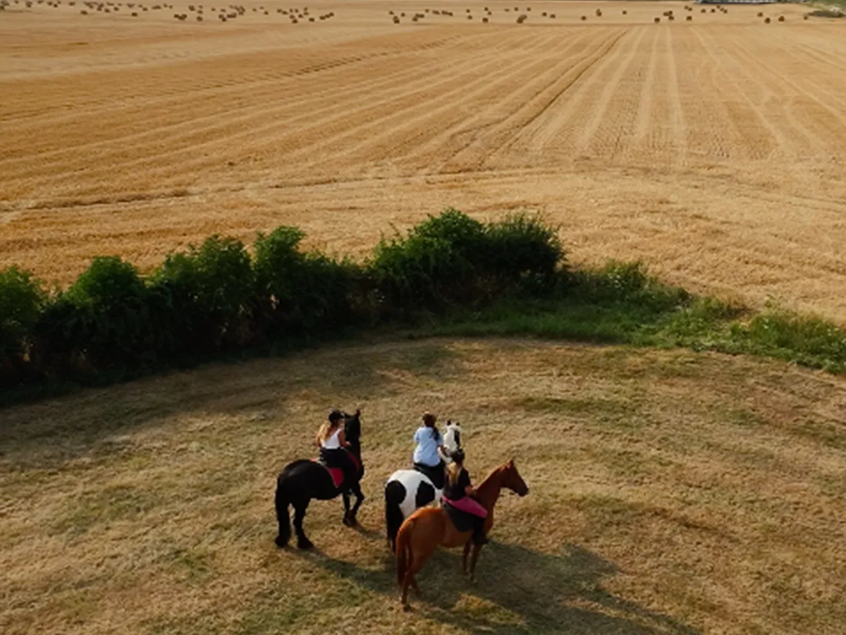 Balade à cheval à La Ferme Enchantée