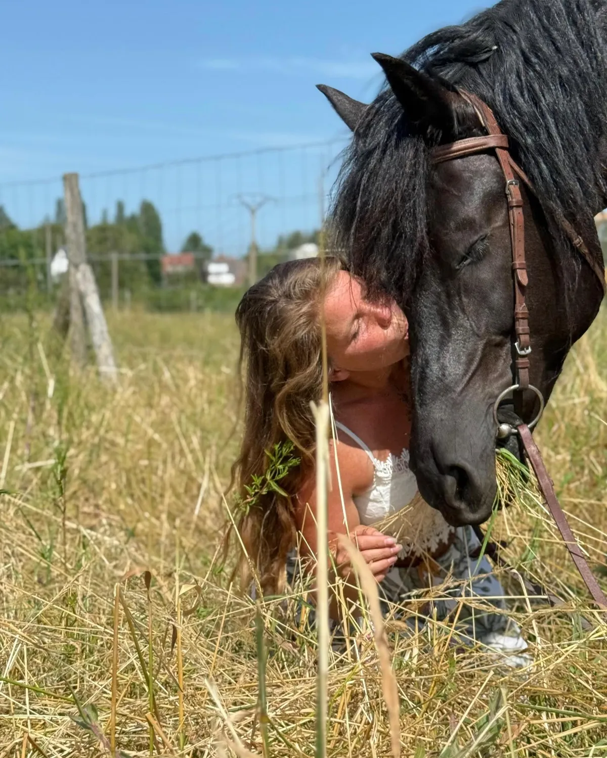 Moment de connexion avec un cheval pendant une retraite bien-être